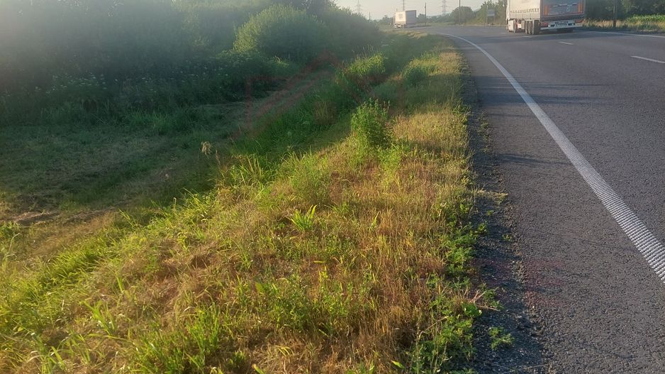 TEREN DE VÂNZARE-32480 mp CARANSEBEȘ JUD.CS,  0% COMISION - Poză 5