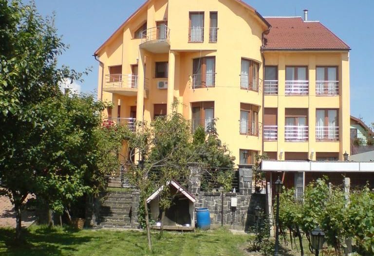 ageuropa.ro vinde casa 16 camere teren 1500mp in zona ULTRACENTRALA. - Poză 3