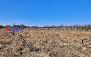 AZURA IMobiliare - Teren Iefin Bascov 3km de Giratoriu - Poză 6