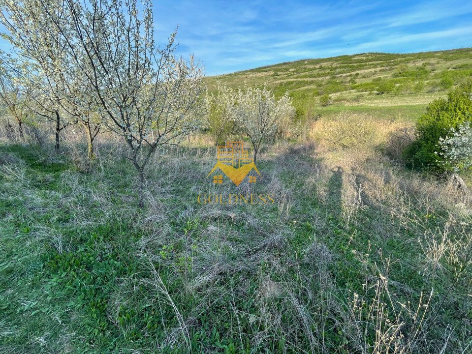 Tren Soporului Intravilan ,5500 MP Utilitati,  Oportunitate - Poză 6