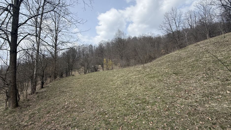 Teren 6040 mp la baza pădurii deschidere 40 ml - Poză 12