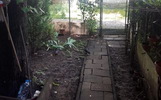 Apartament 1 camera vizavi de gara Nicolina - Poză 7