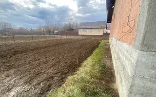 Casa la rosu | Fratautii Noi | 13 ARI - Poză 18