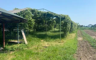 Casă 220 mp | 5 camere | De închiriat |  Zona Franciei - Poză 18