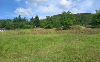 Teren în Fântânele – 3.673 mp, pârâu si cadru natural  deosebit - Poză 6