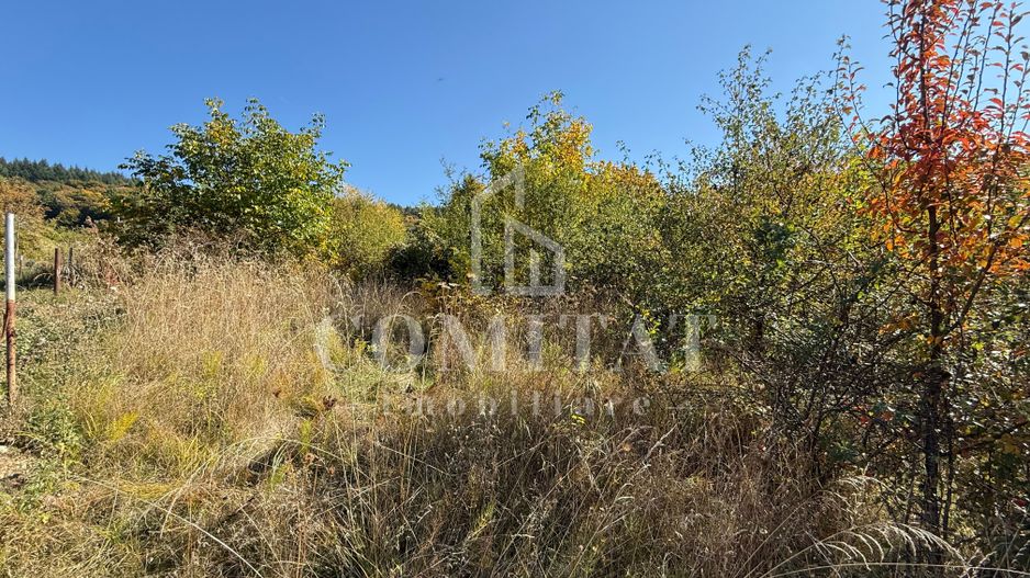 Teren intravilan Făget | 1.490 mp | Front 15 ml | Toate utilitățile - Poză 6