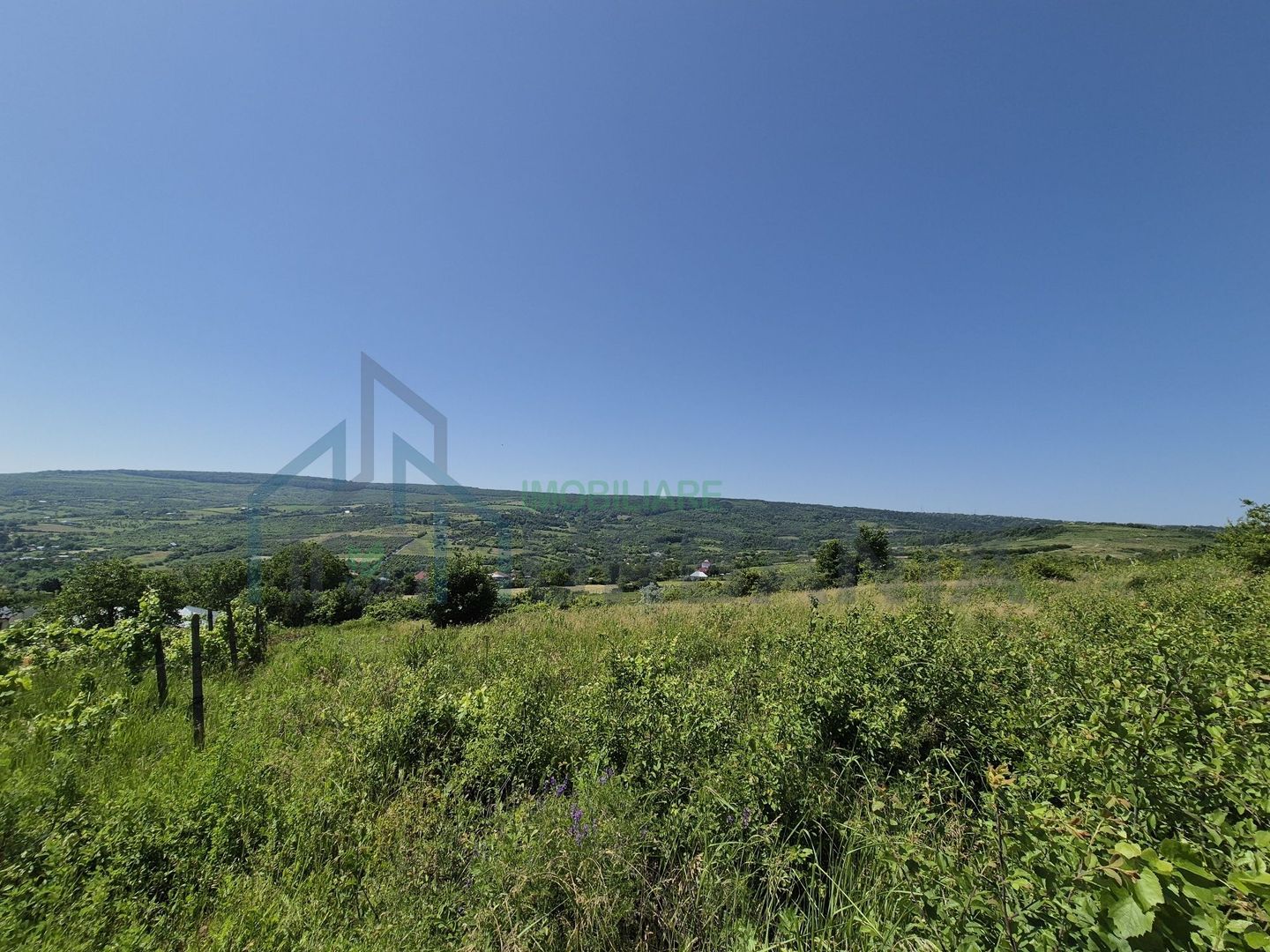Teren intravilan de vânzare în Tomesti-Goruni – parcele de 700 mp și 3000 mp - Poză 1