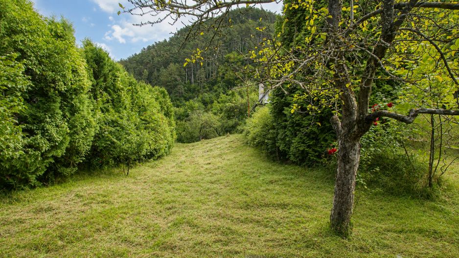 TEREN INTRAVILAN 1.498 MP CU CONSTRUCTIE | 3 FRONTURI STRADALE | SCHEI - Poză 8