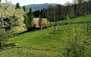 Teren Extravilan 23.000 mp | Valea Doftanei-Secăria | 11 €/mp - Poză 2