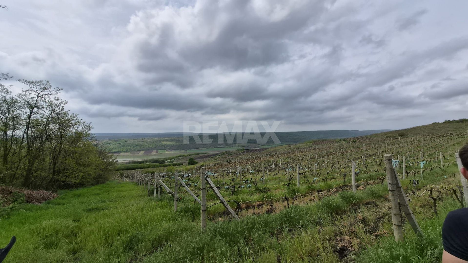 Vie Moldova - Poză 4