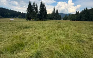 PARCELE DE VÂNZARE, pe malul râului BÂSCA, COMANDAU, COVASNA - Poză 15