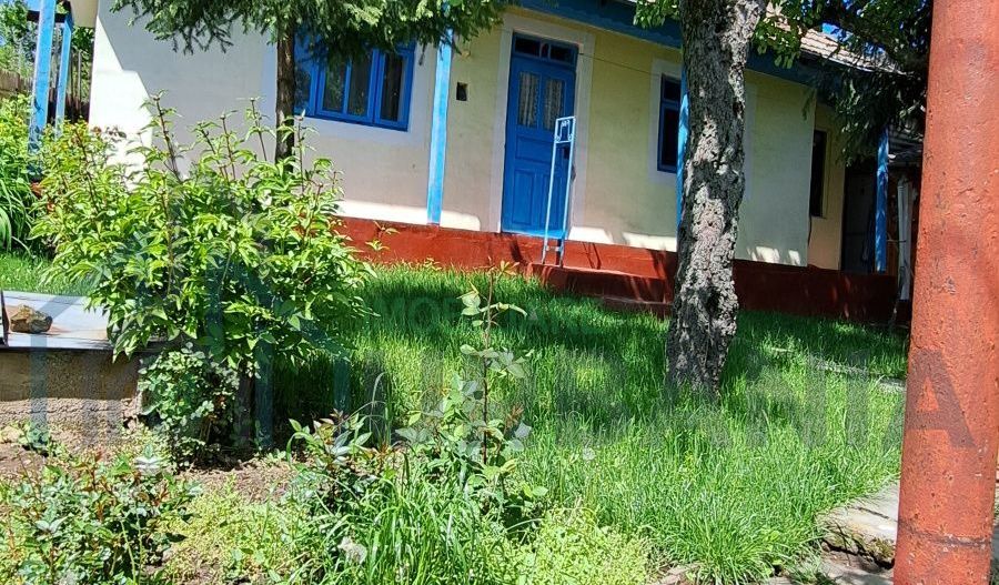 Casă tradițională în sat Bohotin, comuna Răducăneni – 40.000 EUR - Poză 1