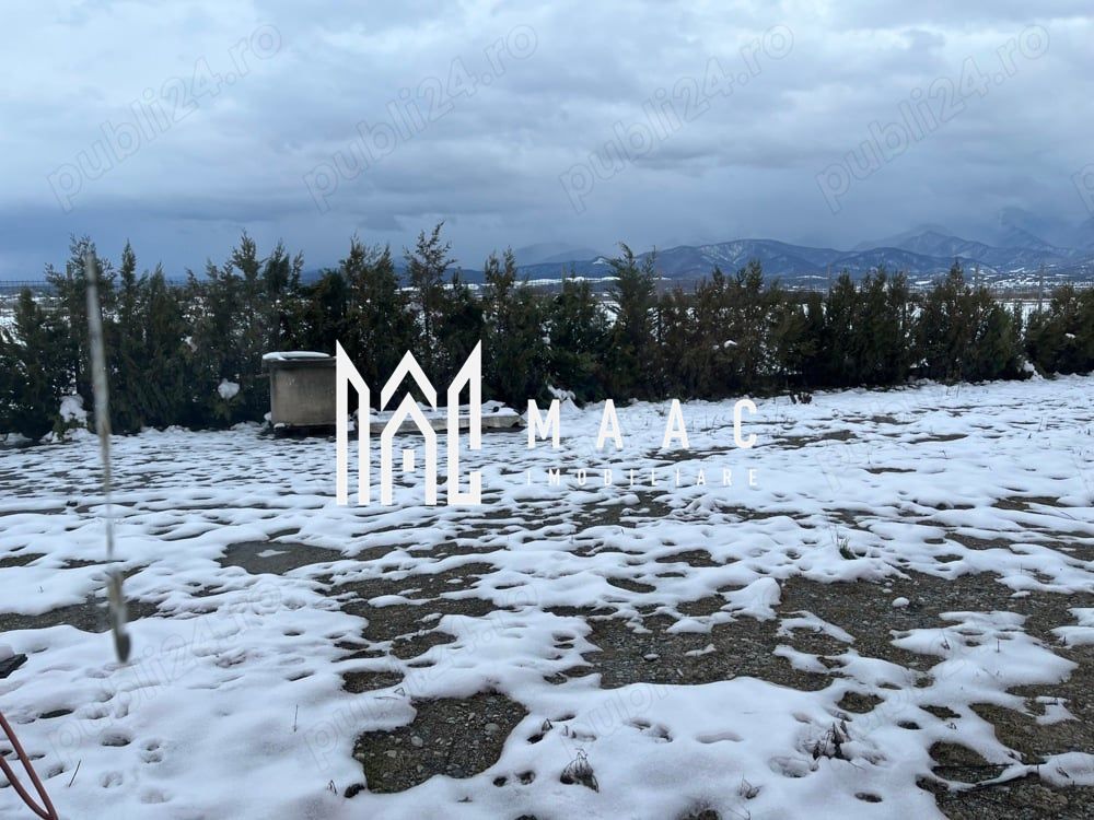 Hală industrială I Birouri I Parcare I TIR I 12000 mp I Bradu - Poză 6