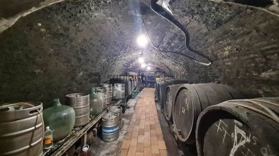 SAPIENT/TEREN INTRAVILAN 600 MP CU ANEXE ȘI PIVNITE - EPISCOPIA - Poză 8