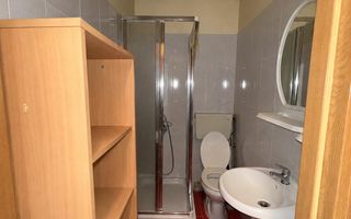 Apartament 1 camera-Badea Cartan-Mobilat si utilat - Poză 3