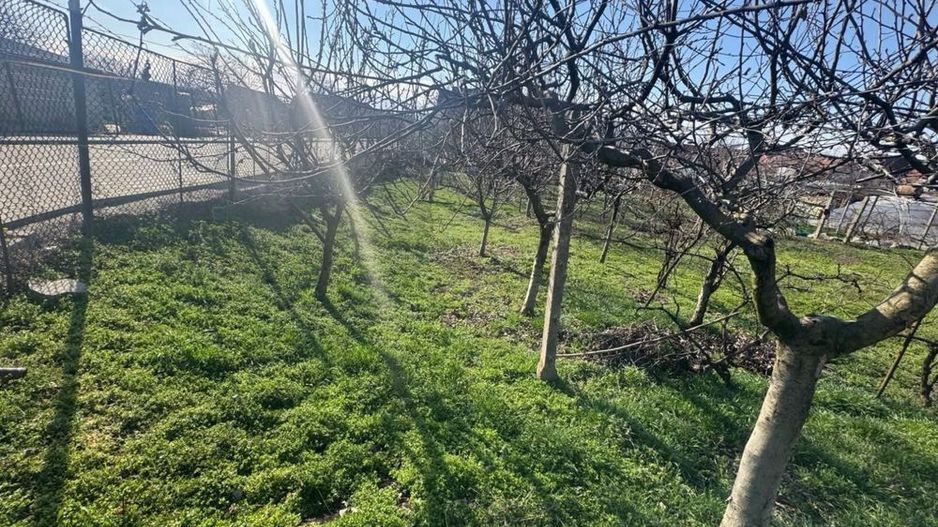 Teren intravilan de vanzare in Barabant - Poză 2