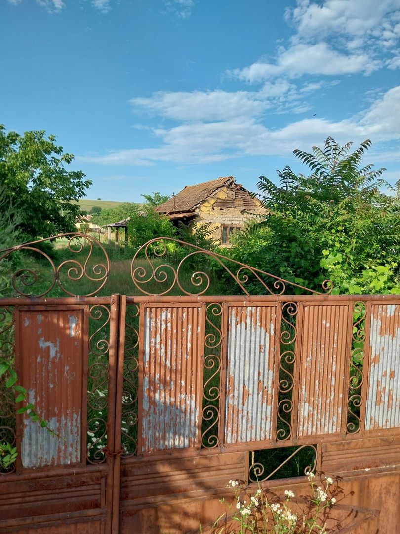 Casa 205 mp | Teren 2.379 mp | Potential comercial | Acces direct DN - Poză 6
