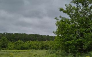 De vanzare - TEREN construcții 700 mp - lizieră - Siliștea Snagovului - Poză 2