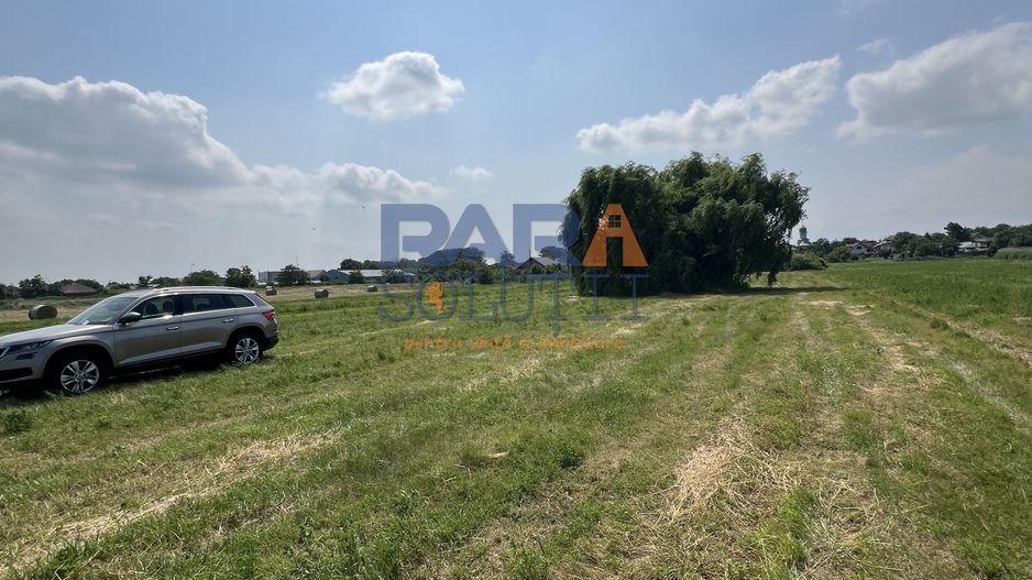 5200 mp intravilan - Str Viitorului (zona Abator) - Poză 3