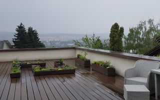 De inchiriat! Casă deosebita in Gruia, panorama spectaculoasa! - Poză 3