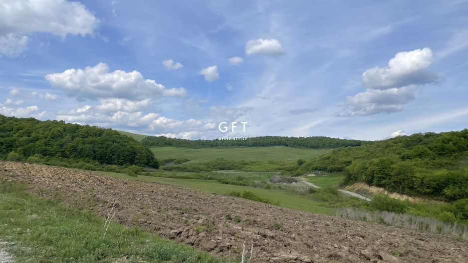 Teren extravilan 10000 mp, Jelna. - Poză 9