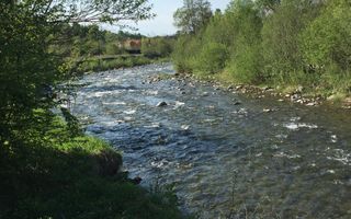 Teren de vanzare în reprezentare exclusivă, situat pe Valea Avrigului! - Poză 7