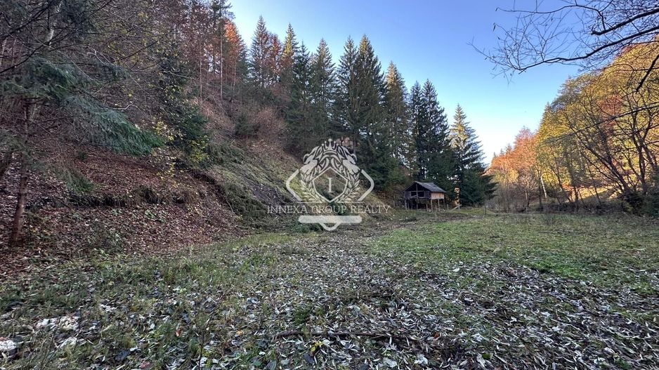 Teren 2.882 mp – oportunitate investitie - Cheile Dâmbovicioarei - Poză 3