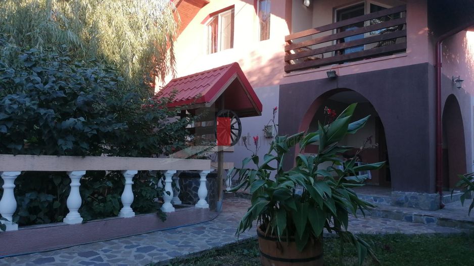 Dascalu-lfov-Vila D+P+M-5 camere-Locatie Deosebita - comision 0 - Poză 2