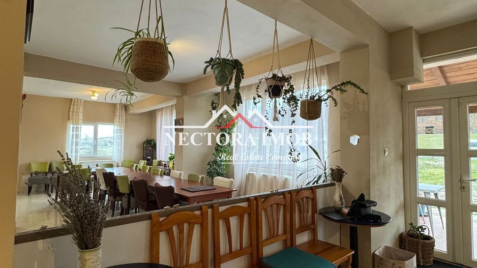 NECTORA IMOB-Pensiune Baile Felix, 16 camere, 723 mp + 4460 mp teren - Poză 9