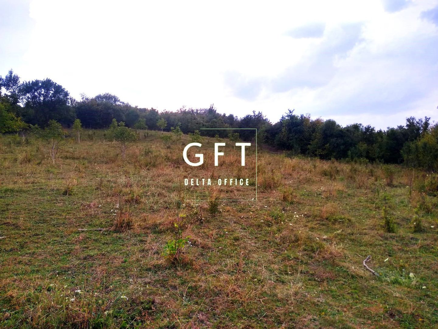 Teren 60 ari - oportunitate investitie - Satu Nou - Poză 1