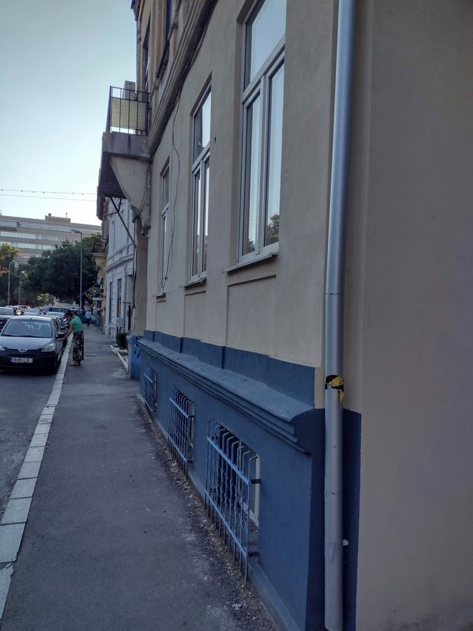 Stirbei Voda, Cismigiu, Conservator - Poză 1