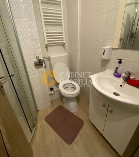 Apartament cu 2 camere mobilat utilat zona Alexandru-Pta Voievozilor - Poză 7