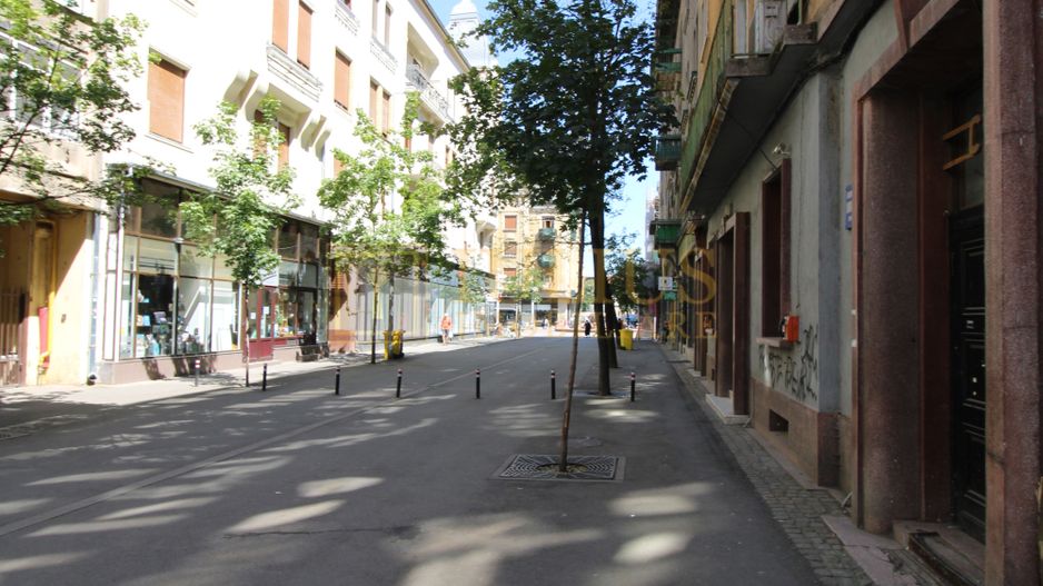 Piata Victoriei, 2 camere, centrala proprie, pet-friendly - Poză 12