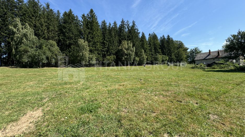 Platou montan, 6631 mp intravilan, electricitate,  langa pădure - Poză 4