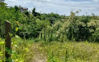 Casă cu teren de 1.470 mp de vânzare – Fântânele, Scânteiești - Poză 37