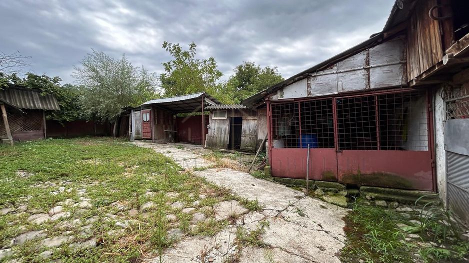 Proprietate de vânzare | 15 km de Onești, DN11 – direcția Bacău - Poză 10