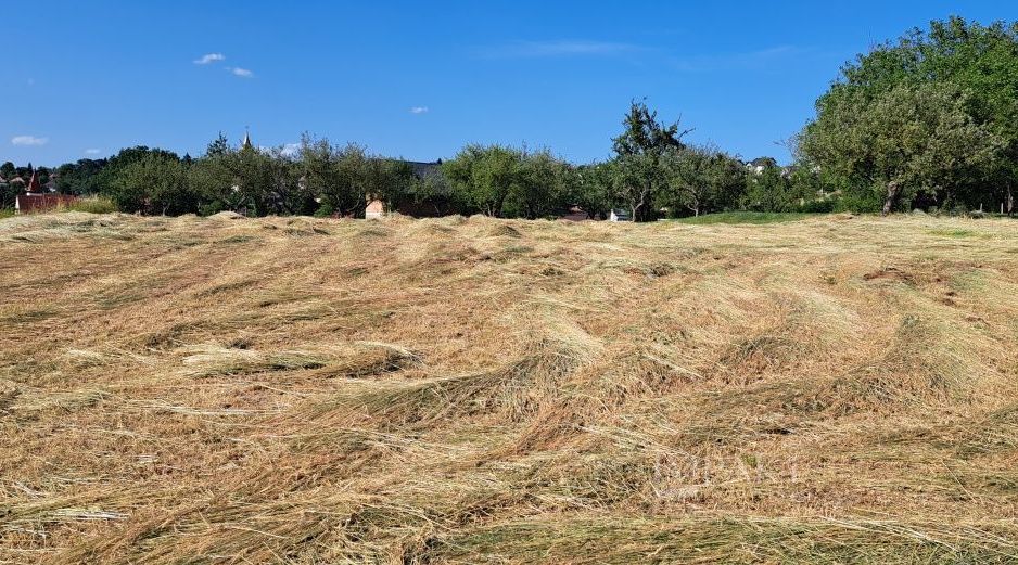 Teren Intravilan pentru Constructie | Potential Rezidențial | Feleacu - Poză 5