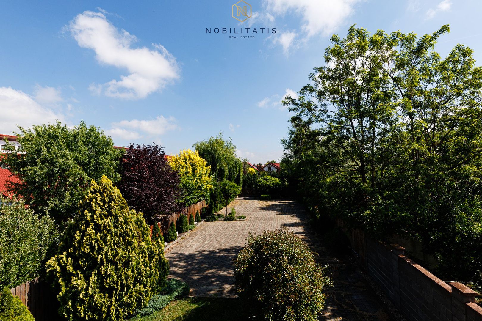 Oferta inchiriata - Cladire comerciala - Fropin & Lidl | 10 locuri parcare - Poză 6