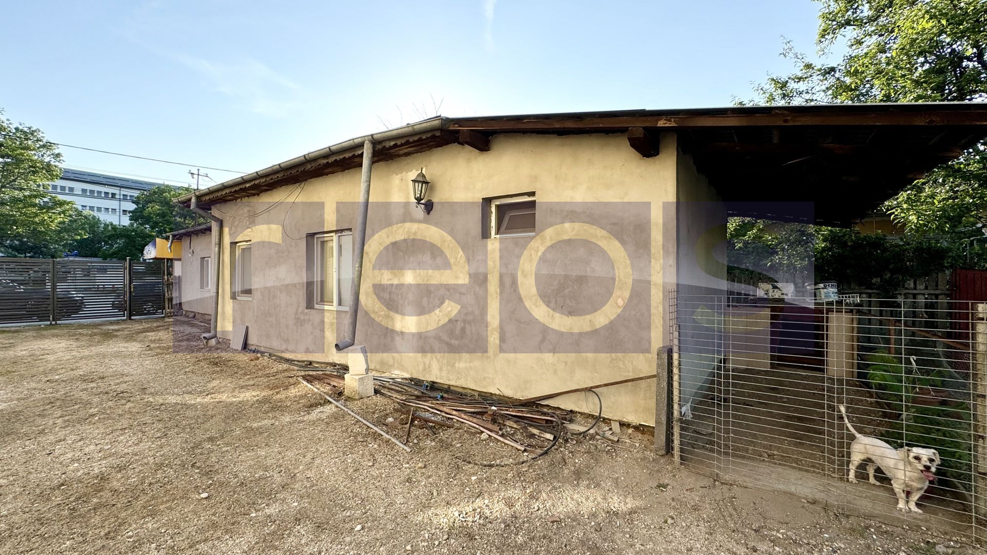 VANZARE TEREN 452 MP | CARPATI | SPITAL - Poză 3