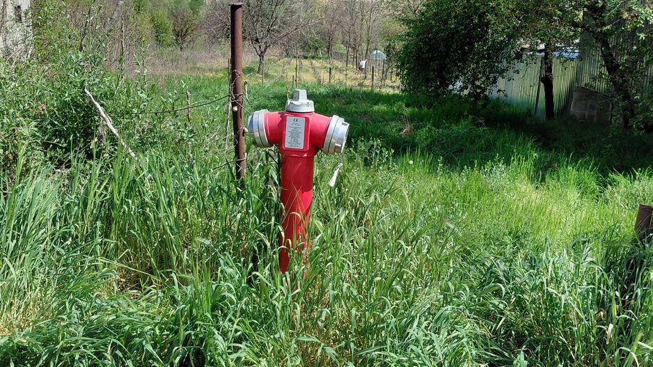 Teren intravilan 3.250 mp în Filești – Ideal pentru casă sau investiție! - Poză 9