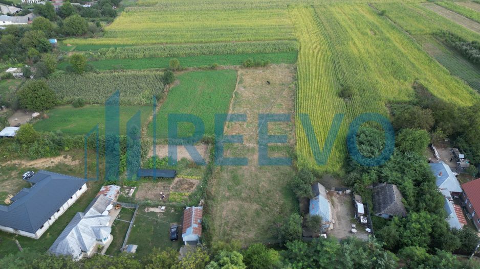 Teren intravilan 4.000 mp Blăgești, Bacău - Poză 2