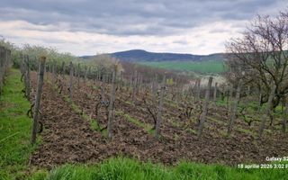 Teren de vanzare, Bohotin, Raducaneni, 1100 mp - Poză 3
