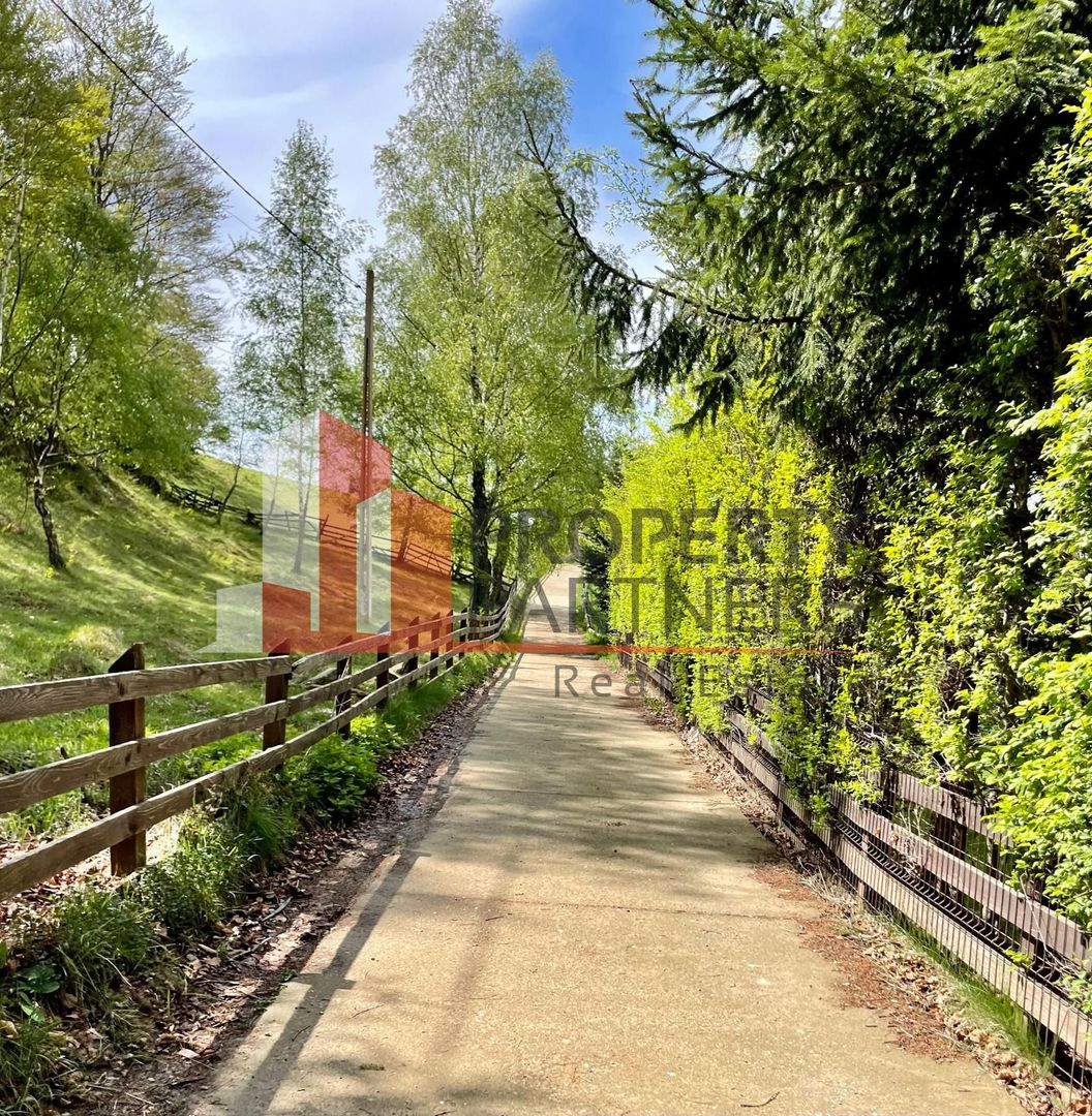 Teren in sat Pestera, comuna Moeciu. - Poză 10