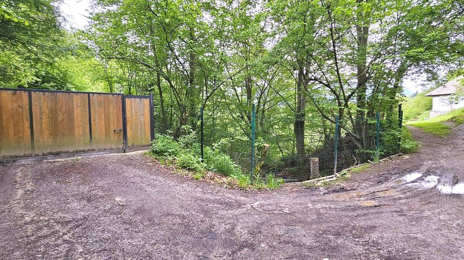 Domeniu Premium 1.7 Ha Intravilan Zărnești | Lizieră Pădure | Ideal Resort - Poză 10