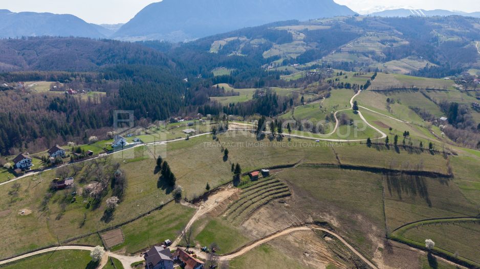 Teren intravilan în Poiana Mărului, 3.791 mp cu priveliste panoramica - Poză 25