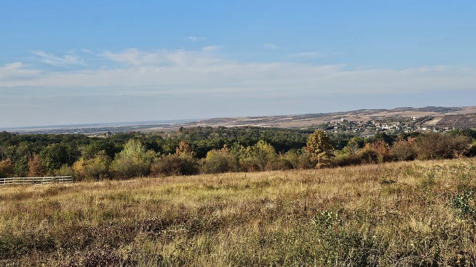 Teren intravilan 3500 mp zona Piersicilor Oradea - Poză 3