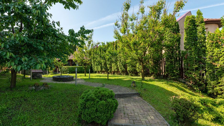 Spațiu birouri în vilă, Zorilor - Poză 12