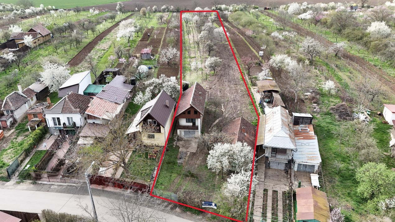 De vânzare 2 Case de vinificație cu Teren 4108 mp - Grădina Viilor - Carei - Poză 1