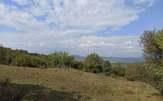 Teren  42,200 mp (4,22 hectare)-Parcelabil-investitie-Valea Jelnei - Poză 4