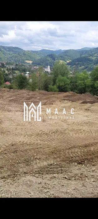 Oferta de nerefuzat, doua loturi de 1500 mp in BISTRA I Alba - Poză 3